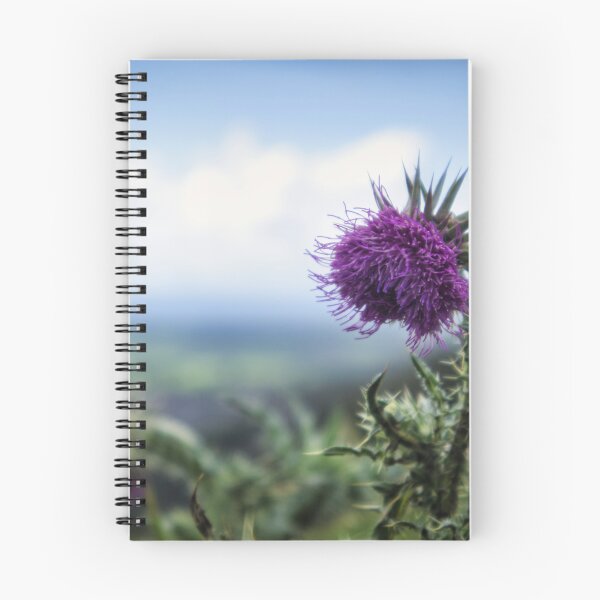 Item preview, Thistles on the cliff at Cheddar Gorge designed and sold by Ann Biddlecombe.