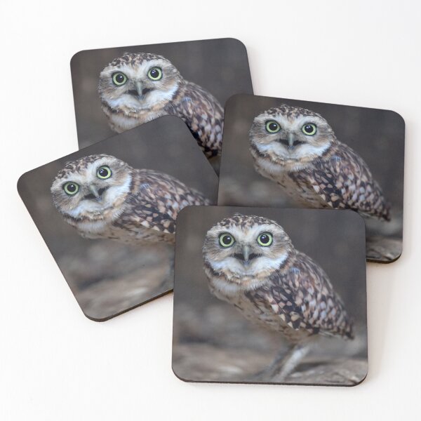 Item preview, Just remember who's in charge here... designed and sold by Krys Bailey.