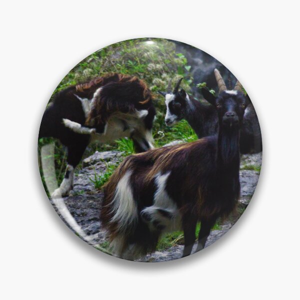 Item preview, Cheddar Gorge Billy Goat designed and sold by Ann Biddlecombe.