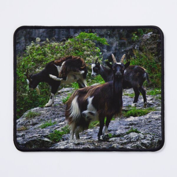 Item preview, Cheddar Gorge Billy Goat designed and sold by Ann Biddlecombe.