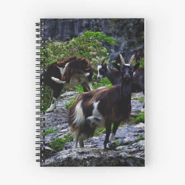 Item preview, Cheddar Gorge Billy Goat designed and sold by Ann Biddlecombe.