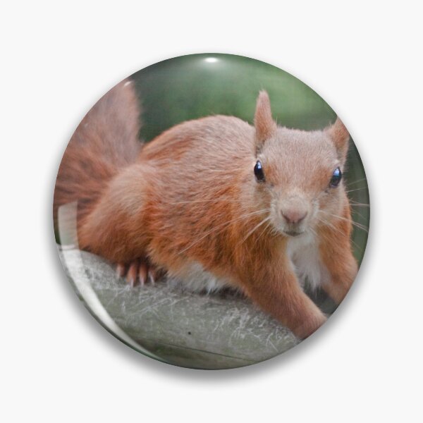 Item preview, Got Nuts? designed and sold by Krys Bailey.