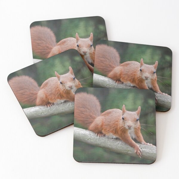 Item preview, Got Nuts? designed and sold by Krys Bailey.