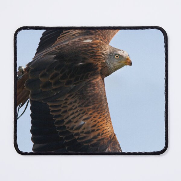 Item preview, Soar designed and sold by Krys Bailey.