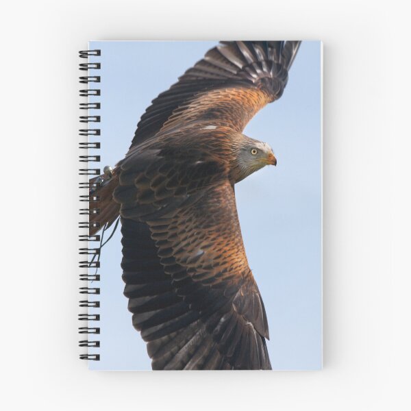 Item preview, Soar designed and sold by Krys Bailey.