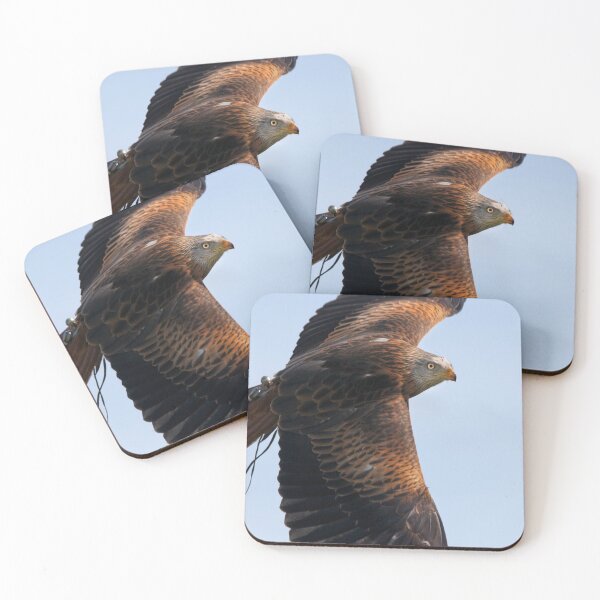 Item preview, Soar designed and sold by Krys Bailey.