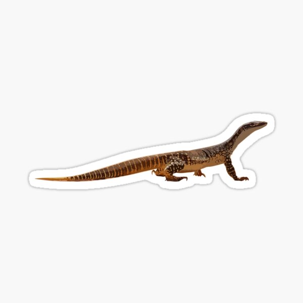 Item preview, Sand Goanna designed and sold by Racheltmason.