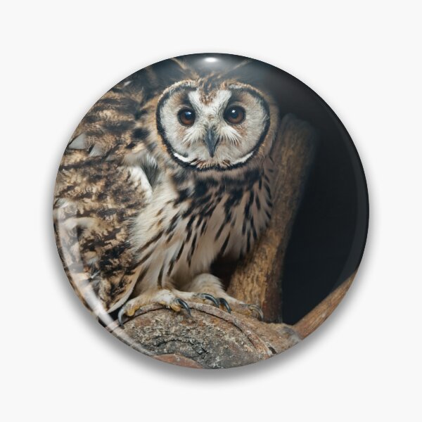 Item preview, D'ya like my Perch? designed and sold by Krys Bailey.