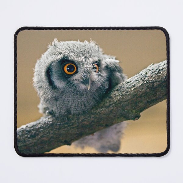 Item preview, Bright Eyes designed and sold by Krys Bailey.