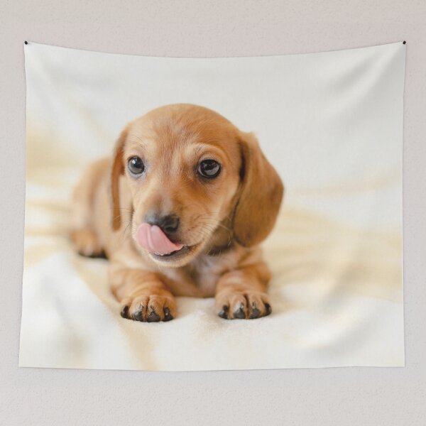 Item preview, Waldy designed and sold by Digikalle.