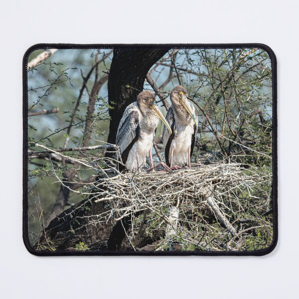 Item preview, Storks in their nest designed and sold by Pravine Chester.