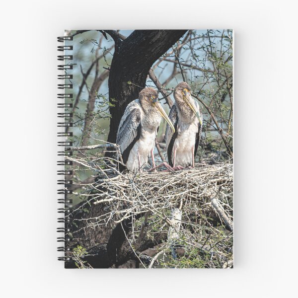 Item preview, Storks in their nest designed and sold by Pravine Chester.