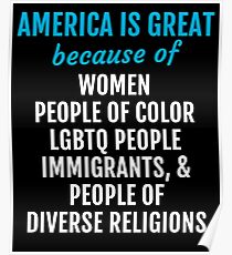 Amerika ist großartig wegen der Vielfalt Poster