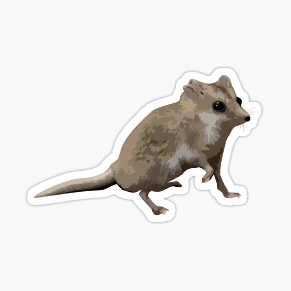 Item preview, Fat-Tailed Dunnart designed and sold by Racheltmason.