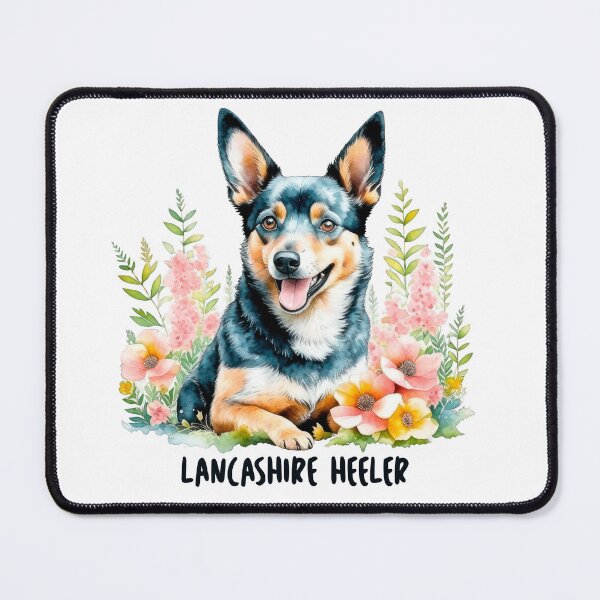 Artikelvorschau, Lancashire Heeler entworfen und verkauft von Okizz.