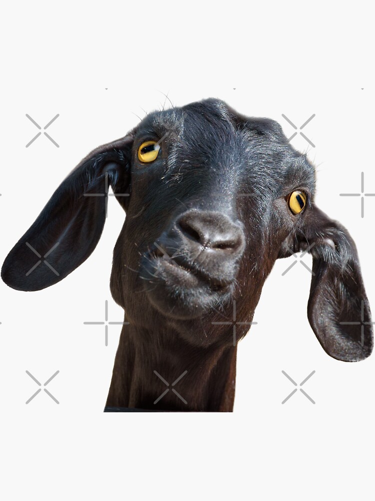 Funny Goat - Goatbusters | Sticker