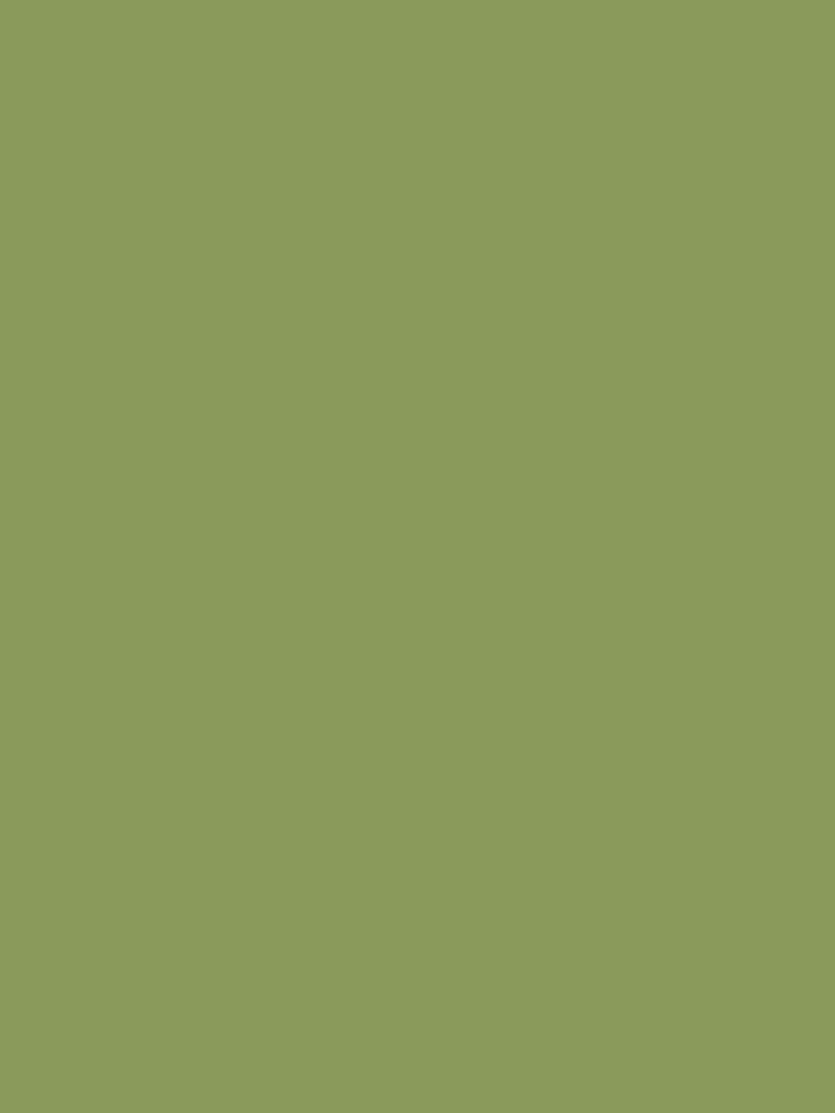 Thumbnail 4 of 4, Mini Skirt, Sage Green Color designed and sold by Claudiocmb.