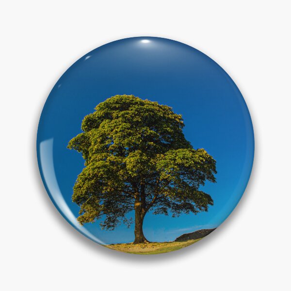 Item preview, Sycamore Gap, in Memoriam designed and sold by Brian Shaw.