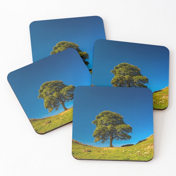 Item preview, Sycamore Gap, in Memoriam designed and sold by Brian Shaw.