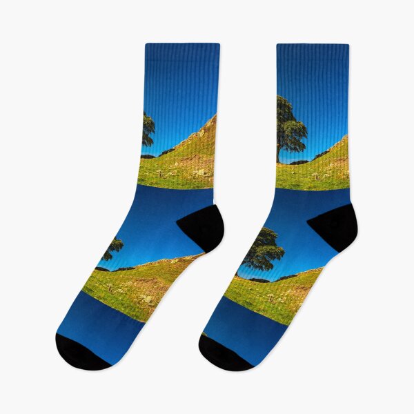 Item preview, Sycamore Gap, in Memoriam designed and sold by Brian Shaw.