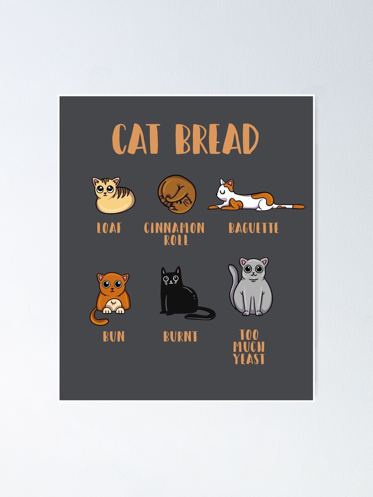 Cat Loaf Graphic -- By Carissa Cornelius (on Pink Tee) - Bumperactive