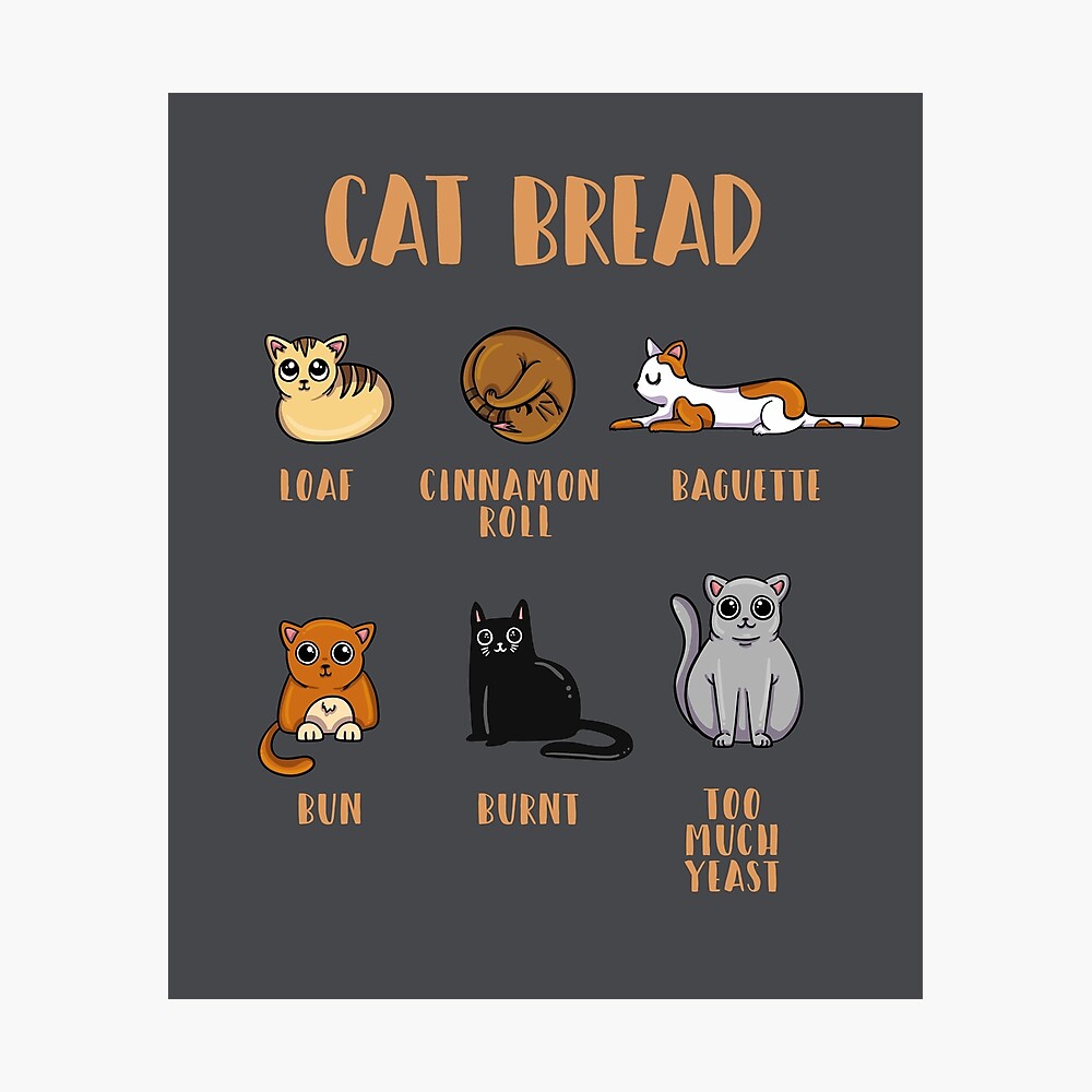 Cat Bread The Catloaf Collection Poster By Snakecakes Redbubble