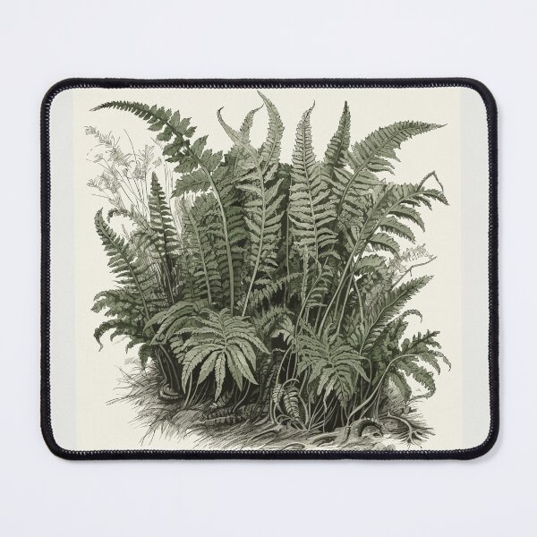 Item preview, Fern Plant Art designed and sold by Ellimade.