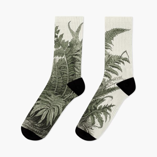 Item preview, Fern Plant Art designed and sold by Ellimade.