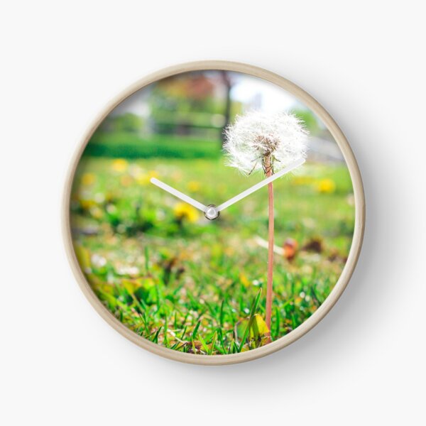 Item preview, Spring Time Dandelion in Clinch Park, Traverse City, Michigan designed and sold by S S Photography.