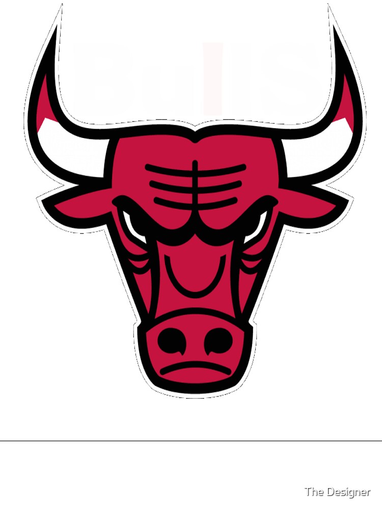 Basketball T shirts Chicago Bulls Tshirts men and Women Kids T