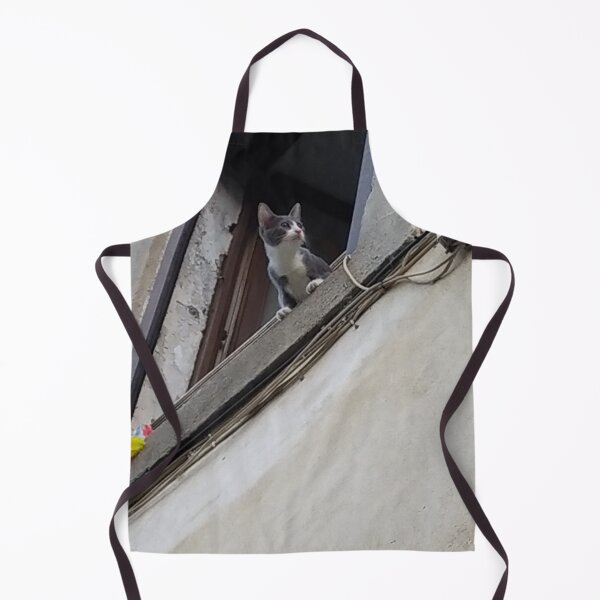 Item preview, a cat at his window designed and sold by MirelleHDB.