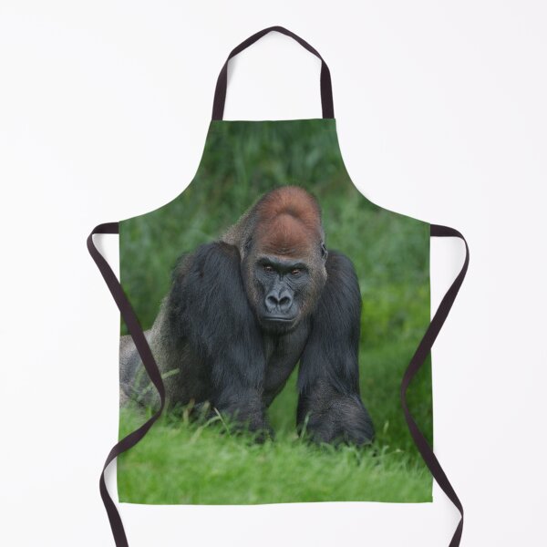 Item preview, Silverback Gorilla's Stance designed and sold by rawshutterbug.