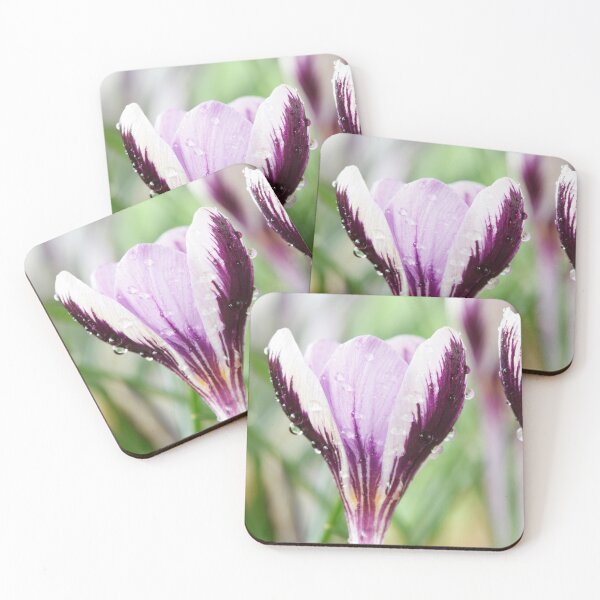 Item preview, Crocus  'Spring Beauty'  designed and sold by Chris Burrows.
