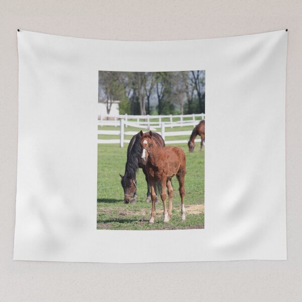 Item preview, farm with horses in corral designed and sold by goceris.