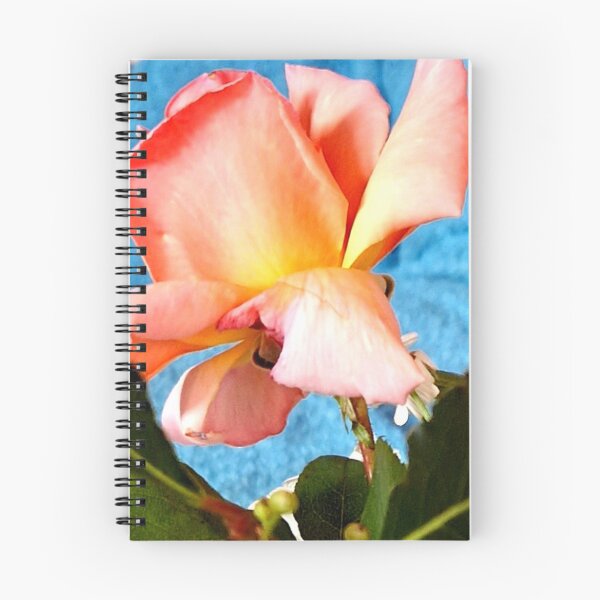 Item preview, Orange Rose designed and sold by ontological.