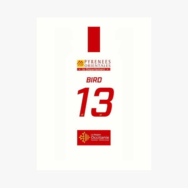 Catalans Dragons Home Shirt Bird Phone Case Art Print