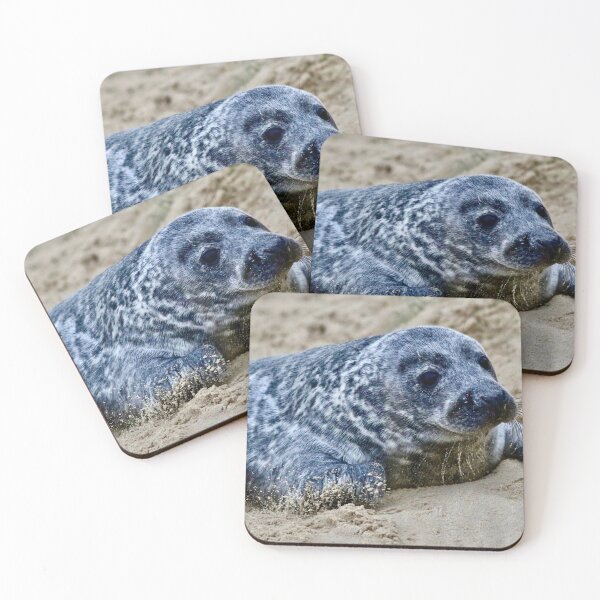 Item preview, Horsey Gap Seal designed and sold by jimmyboysnapz.