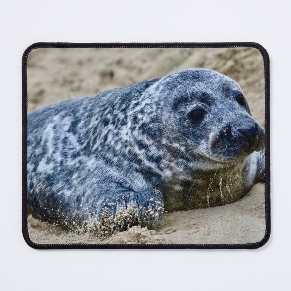 Item preview, Horsey Gap Seal designed and sold by jimmyboysnapz.