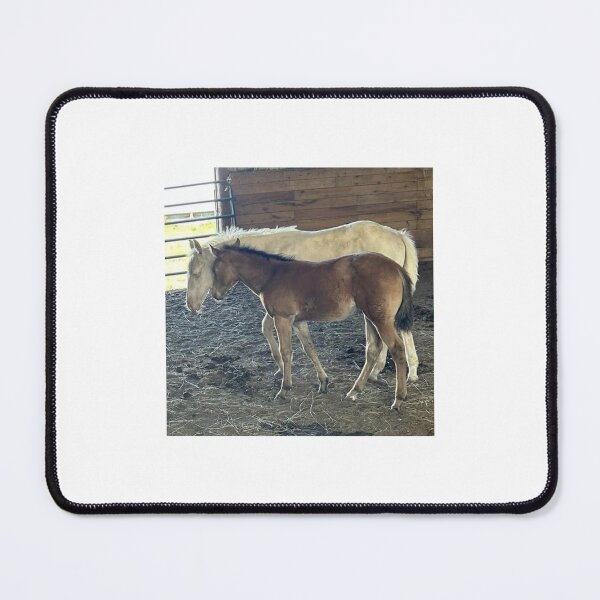 Item preview, Costars snuggle bugs designed and sold by CostarsTwins.