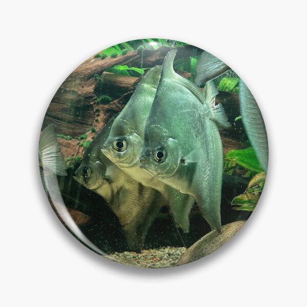 Item preview, Green fish in the water  designed and sold by taya-stdnk.