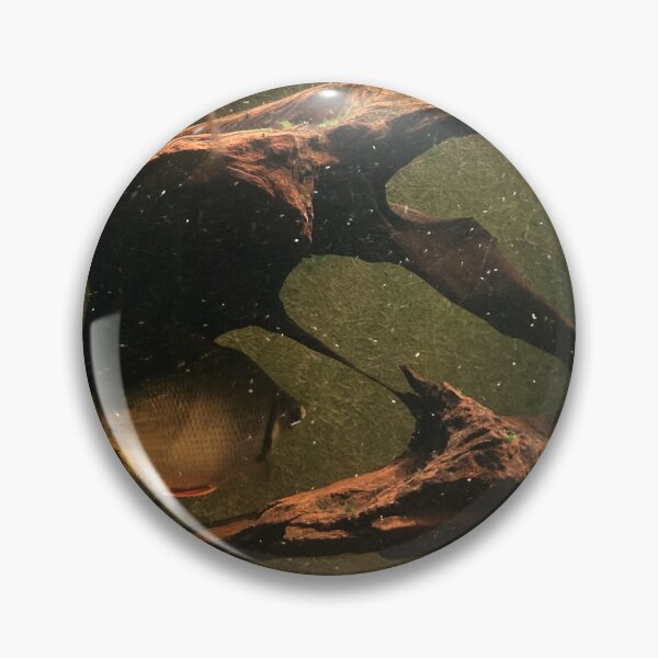 Item preview, Gold fish in the water  designed and sold by taya-stdnk.