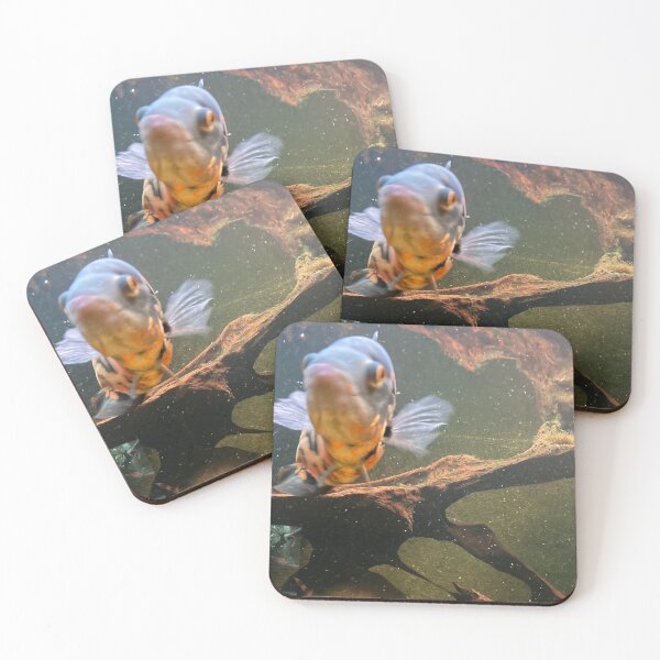 Item preview, Gold fish in the water  designed and sold by taya-stdnk.