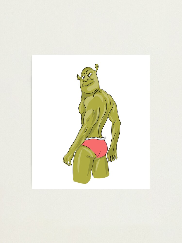 Shrek, Movie fanart