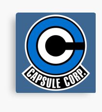 Capsule Canvas Print