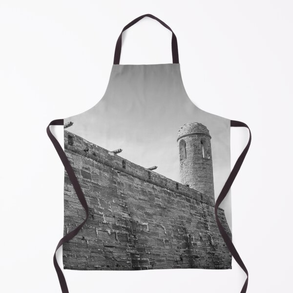 Item preview, Castillo De San Marcos Turret St. Augustine X250 designed and sold by RichFrancoCars.