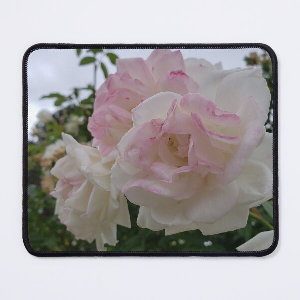 Item preview, Ruffled Roses designed and sold by DancingCreek.