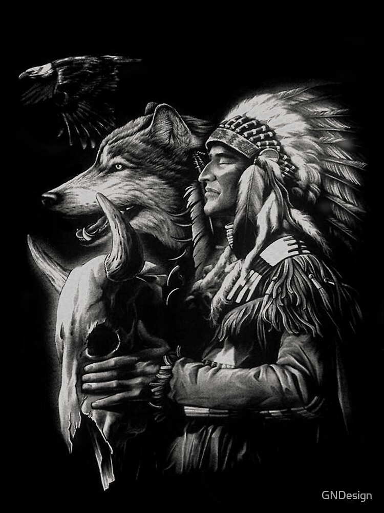 Pin on Native American Spirit Images & Wisdom