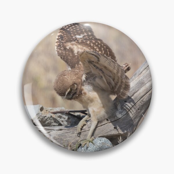 Item preview, Burrowing Owl Slips On Log designed and sold by CarolM.