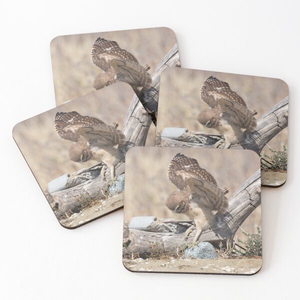 Item preview, Burrowing Owl Slips On Log designed and sold by CarolM.