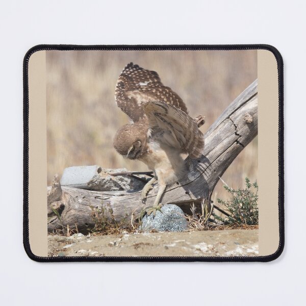 Item preview, Burrowing Owl Slips On Log designed and sold by CarolM.